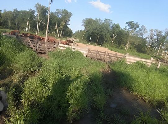 Corral con bebedero