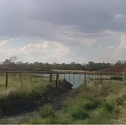 Bebedero prefabricado de hormigón