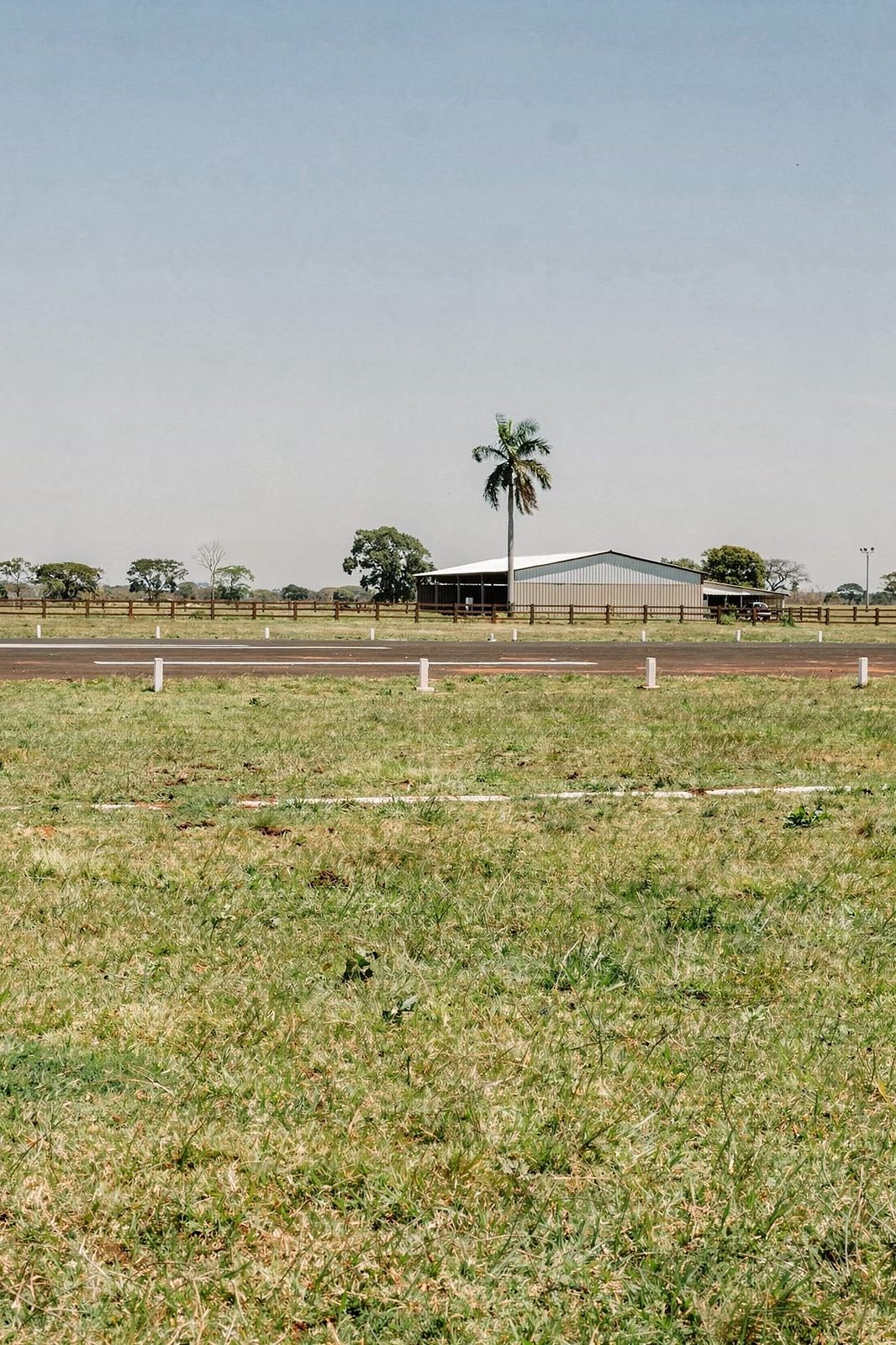 Pista de aviación con hangar y palmera